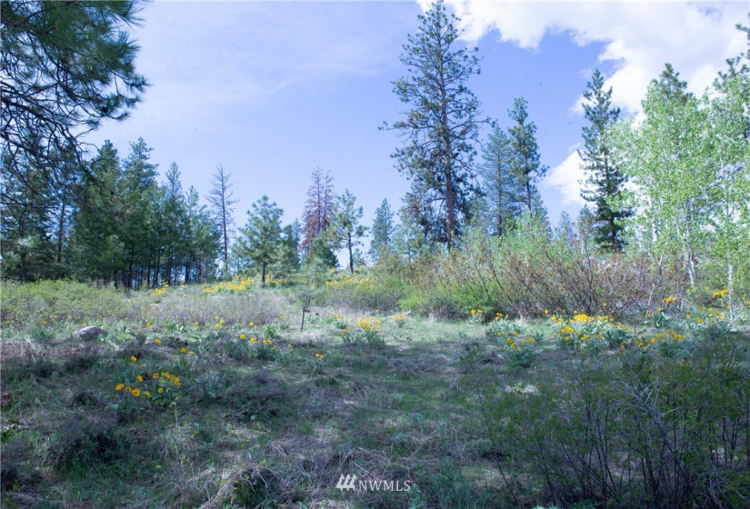 89 B Whiterock, Okanogan, Washington 98840, ,Land,For Sale,Whiterock,NWM1767311
