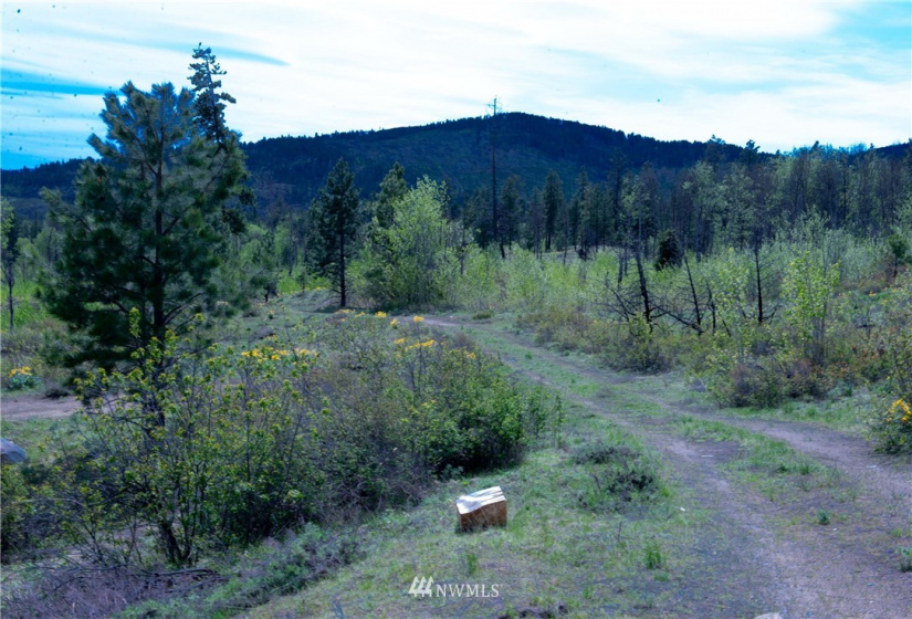 89 B Whiterock, Okanogan, Washington 98840, ,Land,For Sale,Whiterock,NWM1767311