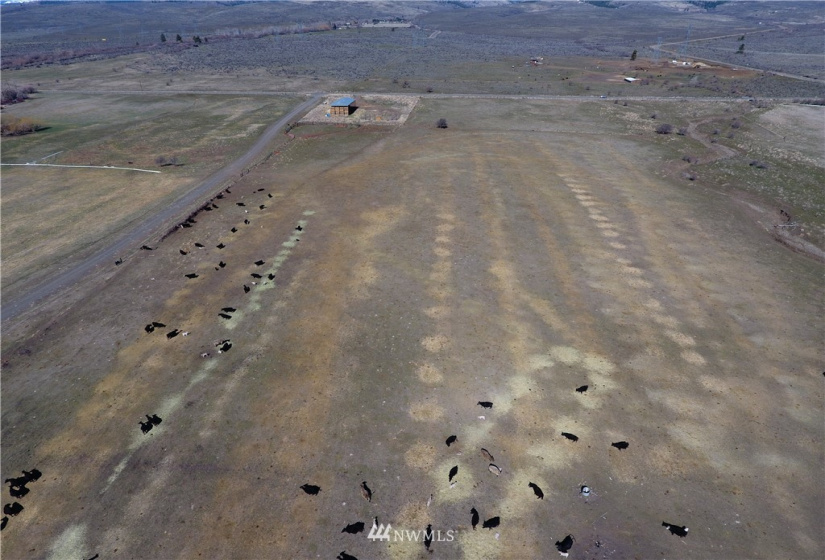 4 B Snipe, Ellensburg, Washington 98926, ,Land,For Sale,Snipe,NWM1771623