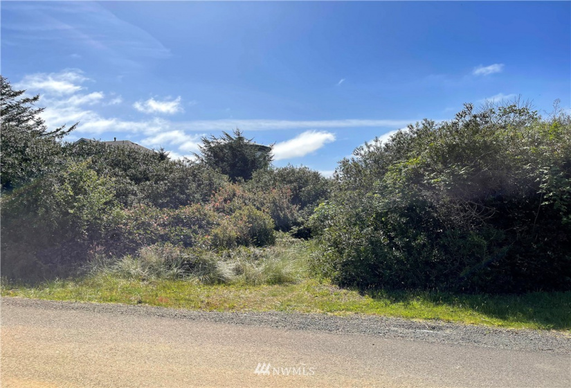 367 Sand Dune, Ocean Shores, Washington 98569, ,Land,For Sale,2,Sand Dune,NWM1773905