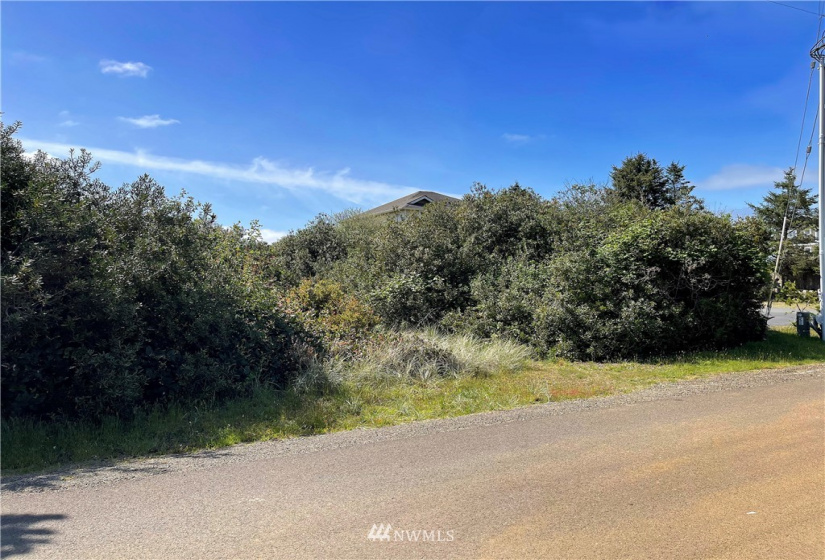 367 Sand Dune, Ocean Shores, Washington 98569, ,Land,For Sale,2,Sand Dune,NWM1773905