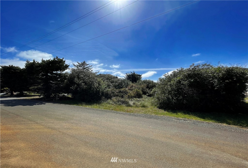 367 Sand Dune, Ocean Shores, Washington 98569, ,Land,For Sale,2,Sand Dune,NWM1773905