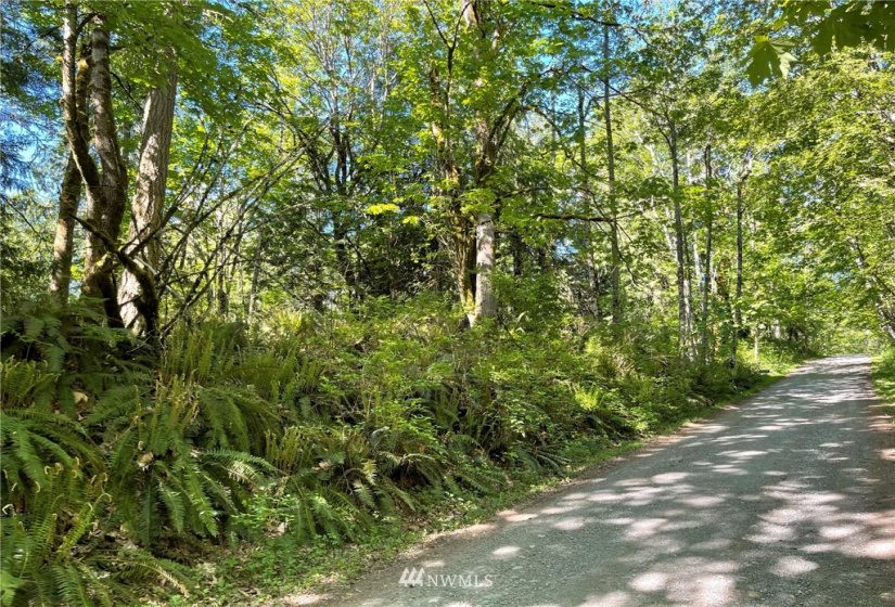 23922 144th, Buckley, Washington 98321, ,Land,For Sale,144th,NWM1774298