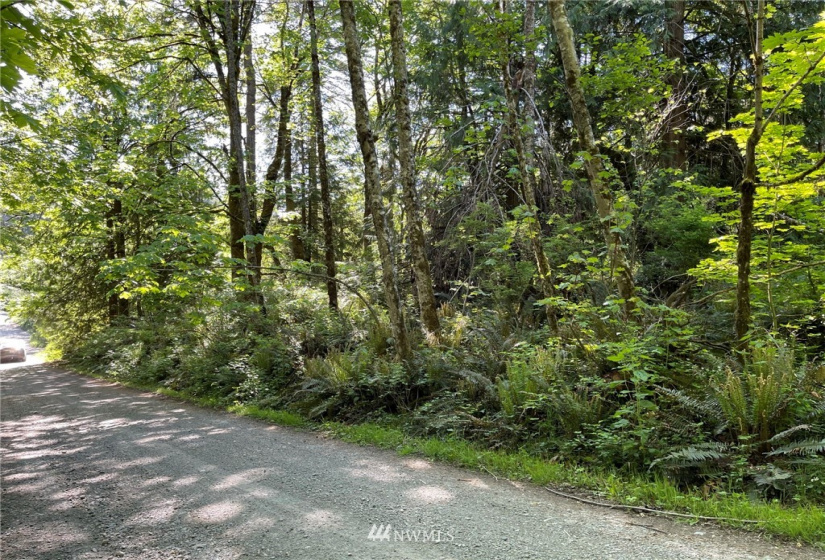 23922 144th, Buckley, Washington 98321, ,Land,For Sale,144th,NWM1774298
