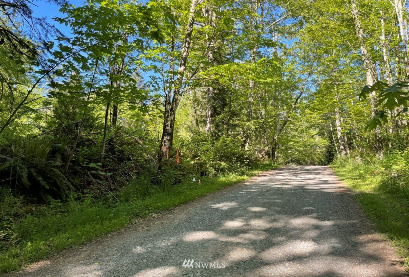 23922 144th, Buckley, Washington 98321, ,Land,For Sale,144th,NWM1774298