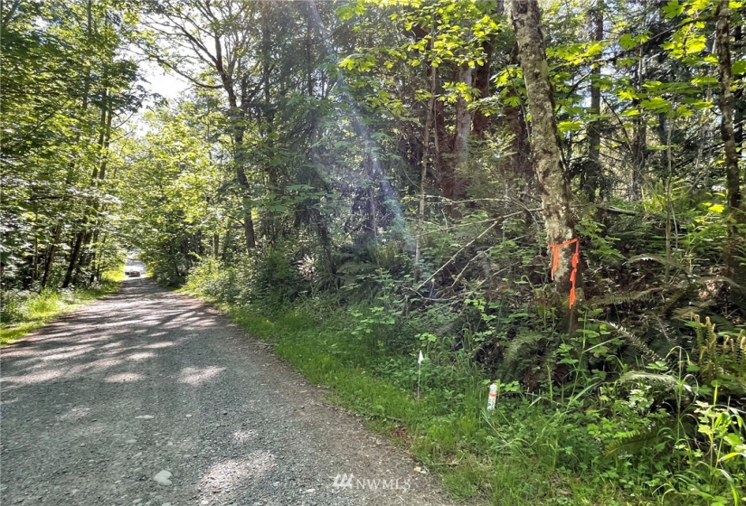 23922 144th, Buckley, Washington 98321, ,Land,For Sale,144th,NWM1774298