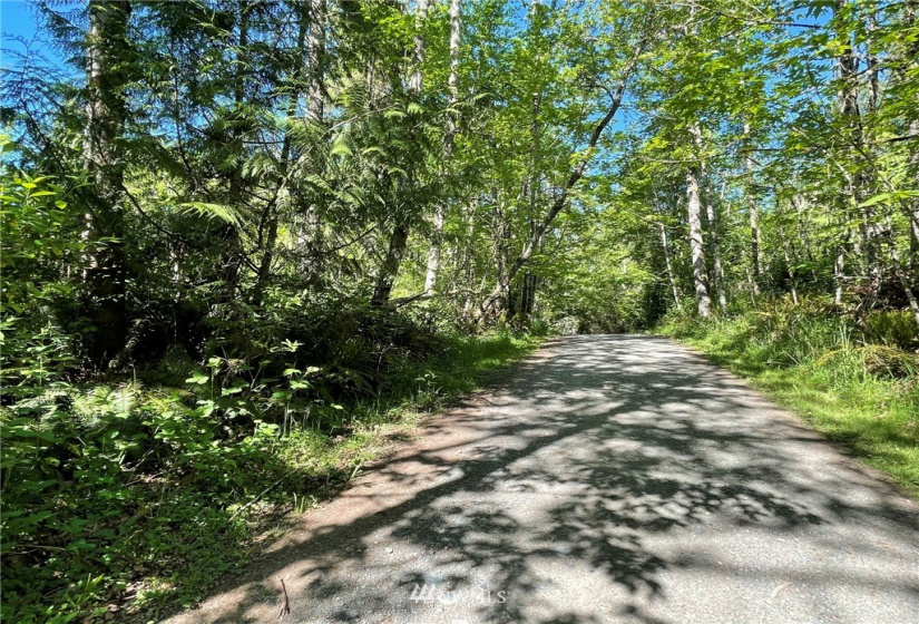 23922 144th, Buckley, Washington 98321, ,Land,For Sale,144th,NWM1774298