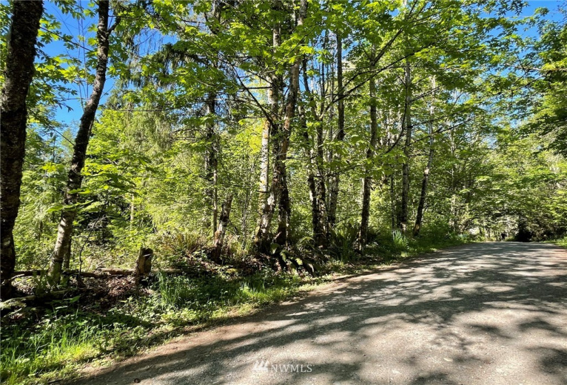 23922 144th, Buckley, Washington 98321, ,Land,For Sale,144th,NWM1774298