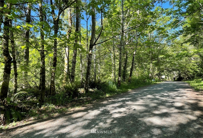 23922 144th, Buckley, Washington 98321, ,Land,For Sale,144th,NWM1774298