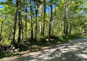 23922 144th, Buckley, Washington 98321, ,Land,For Sale,144th,NWM1774298