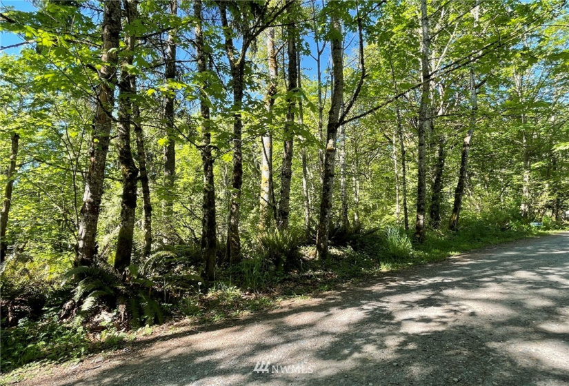 23922 144th, Buckley, Washington 98321, ,Land,For Sale,144th,NWM1774298