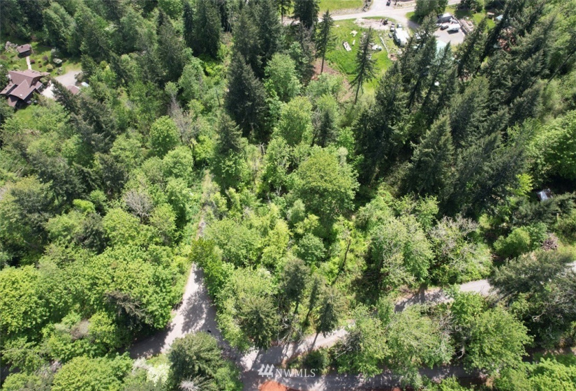 23922 144th, Buckley, Washington 98321, ,Land,For Sale,144th,NWM1774298