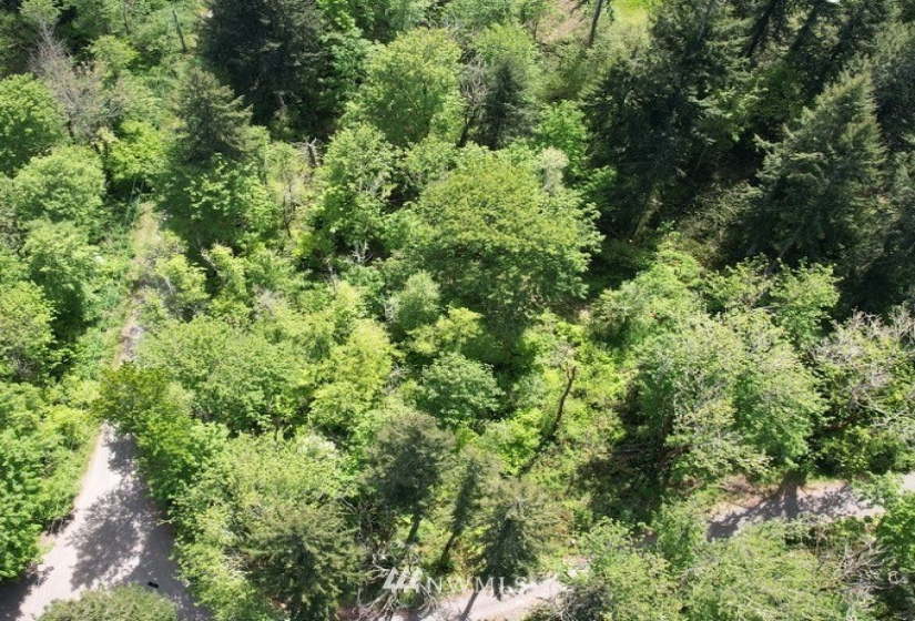 23922 144th, Buckley, Washington 98321, ,Land,For Sale,144th,NWM1774298