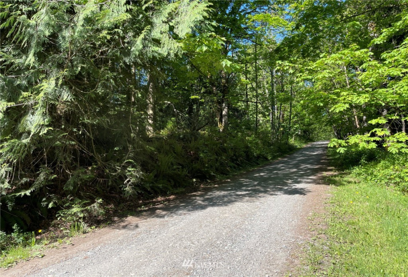 23922 144th, Buckley, Washington 98321, ,Land,For Sale,144th,NWM1774298