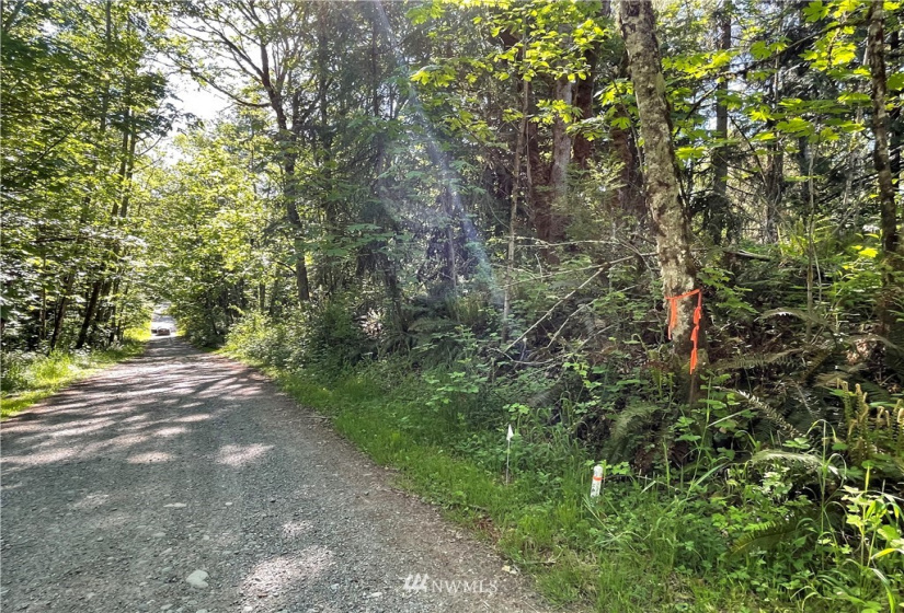 23922 144th, Buckley, Washington 98321, ,Land,For Sale,144th,NWM1774298