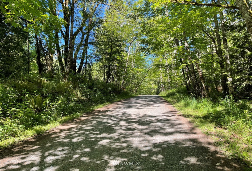 23922 144th, Buckley, Washington 98321, ,Land,For Sale,144th,NWM1774298