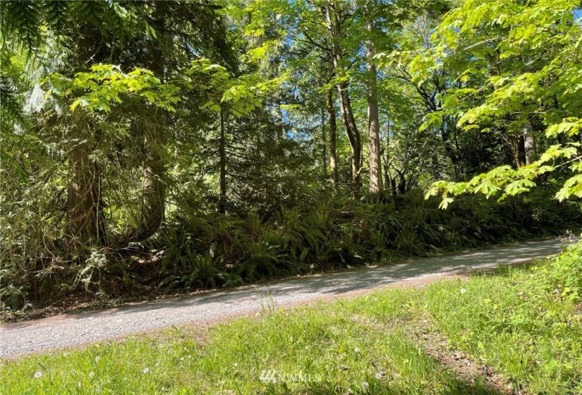 23922 144th, Buckley, Washington 98321, ,Land,For Sale,144th,NWM1774298