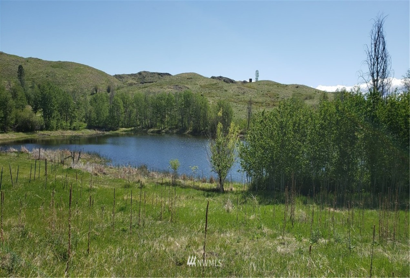 0 TBD Hidden Hills, Tonasket, Washington 98855, ,Land,For Sale,Hidden Hills,NWM1771947