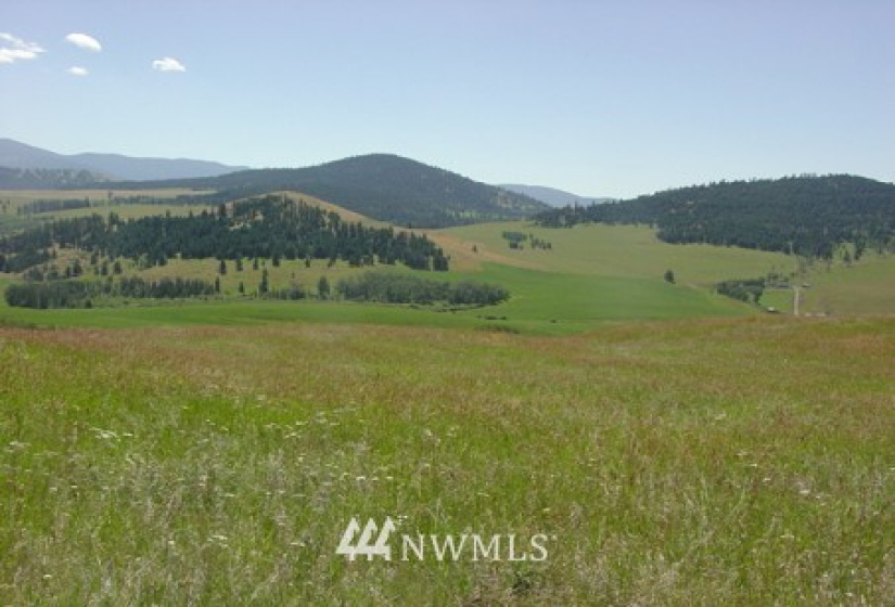 0 Davies/Chesaw, Oroville, Washington 98844, ,Land,For Sale,Davies/Chesaw,NWM1767753