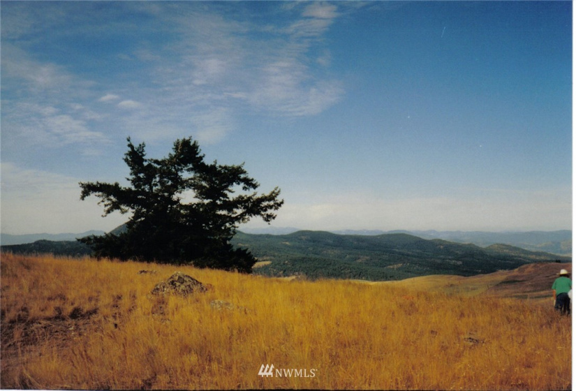 0 Davies/Chesaw, Oroville, Washington 98844, ,Land,For Sale,Davies/Chesaw,NWM1767753