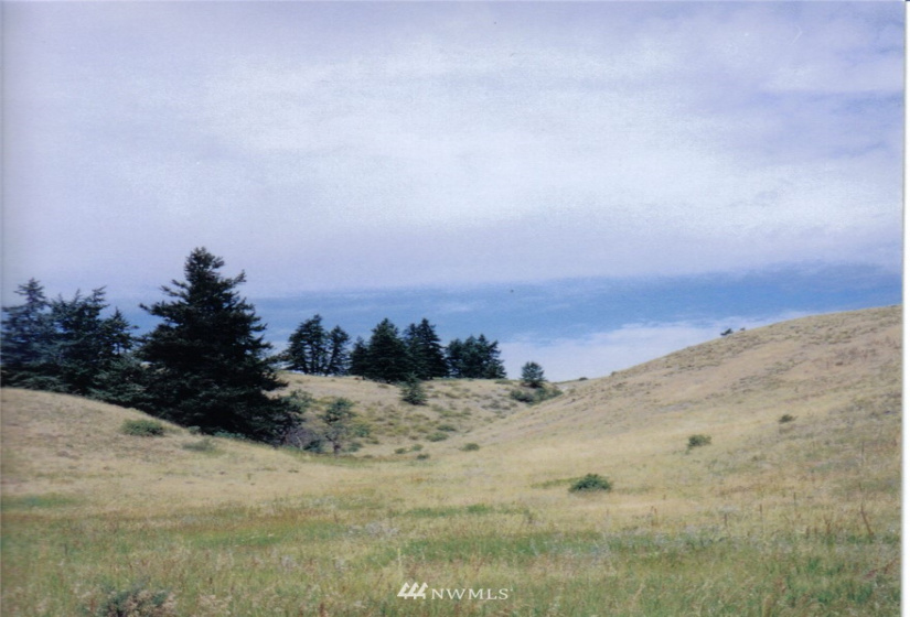 0 Davies/Chesaw, Oroville, Washington 98844, ,Land,For Sale,Davies/Chesaw,NWM1767753