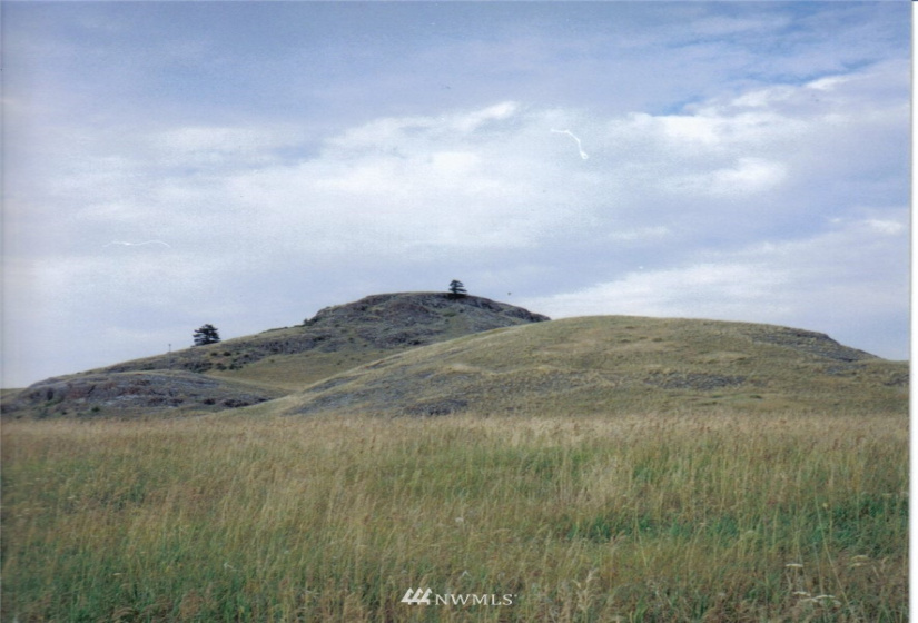 0 Davies/Chesaw, Oroville, Washington 98844, ,Land,For Sale,Davies/Chesaw,NWM1767753