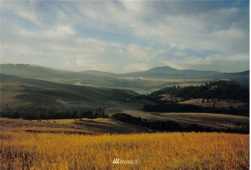 0 Davies/Chesaw, Oroville, Washington 98844, ,Land,For Sale,Davies/Chesaw,NWM1767753