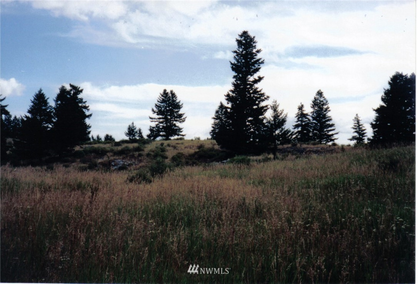 0 Davies/Chesaw, Oroville, Washington 98844, ,Land,For Sale,Davies/Chesaw,NWM1767753