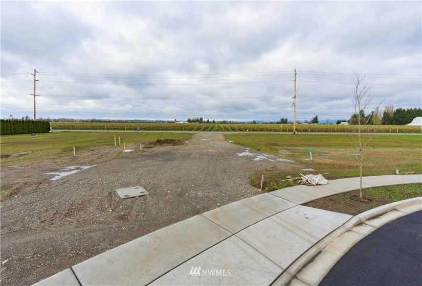2231 DeJong, Lynden, Washington 98264, ,Land,For Sale,DeJong Long Plat,DeJong,NWM1775497