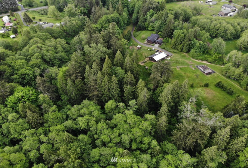0 Gladstone, Blaine, Washington 98230, ,Land,For Sale,Cartsten's first add to Blaine,Gladstone,NWM1776491