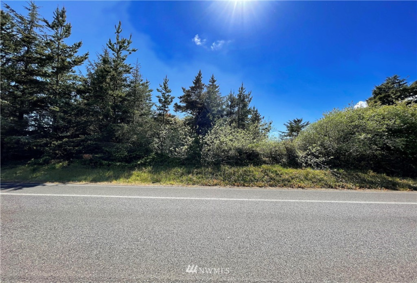 919 Point Brown, Ocean Shores, Washington 98569, ,Land,For Sale,14,Point Brown,NWM1779159