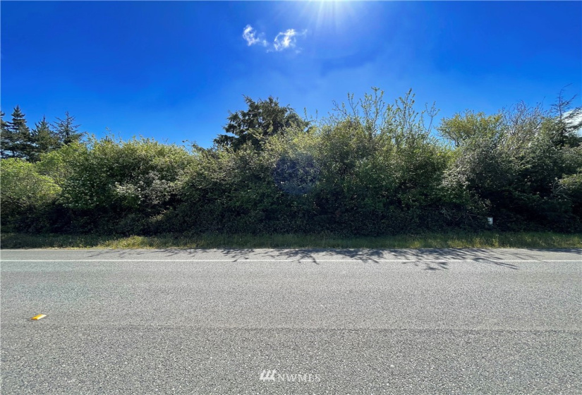 919 Point Brown, Ocean Shores, Washington 98569, ,Land,For Sale,14,Point Brown,NWM1779159