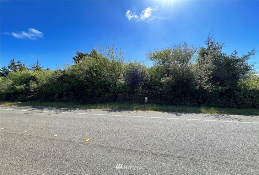 919 Point Brown, Ocean Shores, Washington 98569, ,Land,For Sale,14,Point Brown,NWM1779159