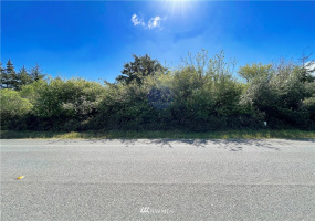 915 Point Brown, Ocean Shores, Washington 98569, ,Land,For Sale,16,Point Brown,NWM1779221