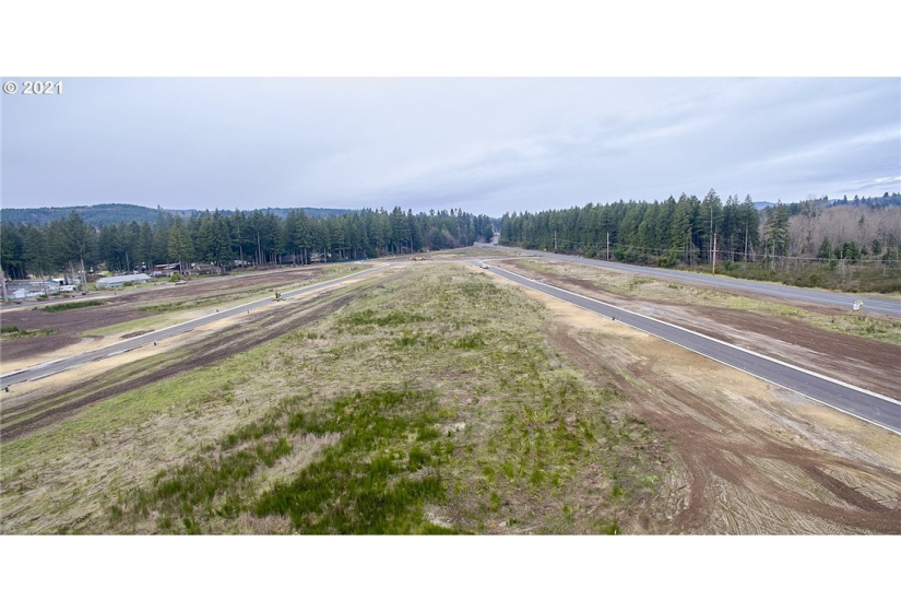141 Amellia, Castle Rock, Washington 98611, ,Land,For Sale,Amellia,NWM1779188