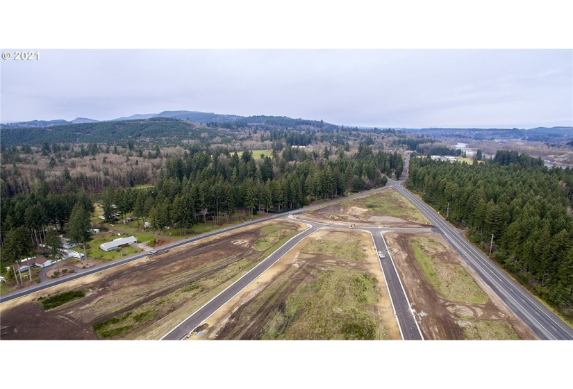 141 Amellia, Castle Rock, Washington 98611, ,Land,For Sale,Amellia,NWM1779188