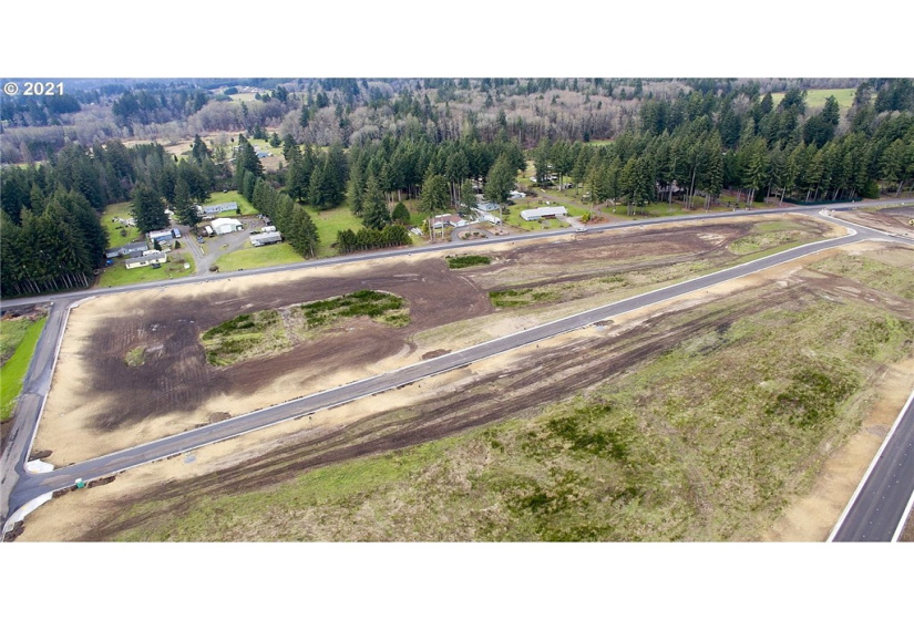 141 Amellia, Castle Rock, Washington 98611, ,Land,For Sale,Amellia,NWM1779188