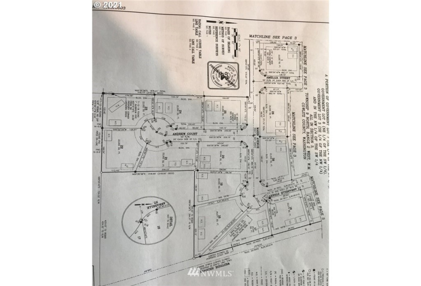 141 Amellia, Castle Rock, Washington 98611, ,Land,For Sale,Amellia,NWM1779188