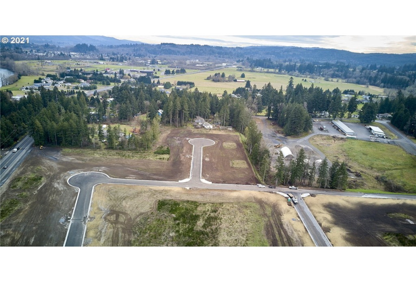 141 Amellia, Castle Rock, Washington 98611, ,Land,For Sale,Amellia,NWM1779188