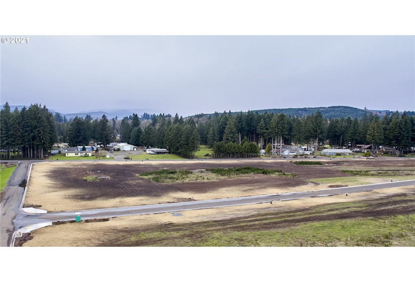 141 Amellia, Castle Rock, Washington 98611, ,Land,For Sale,Amellia,NWM1779188