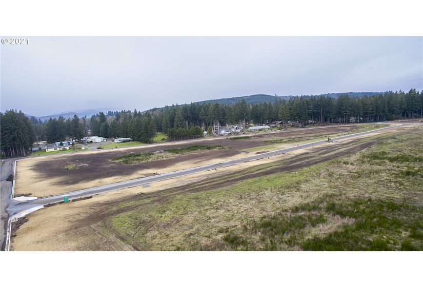 141 Amellia, Castle Rock, Washington 98611, ,Land,For Sale,Amellia,NWM1779188