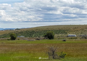 6411 Bettas Rd, Cle Elum, Washington 98926, ,Land,For Sale,Lone Pine,Bettas Rd,NWM1779453