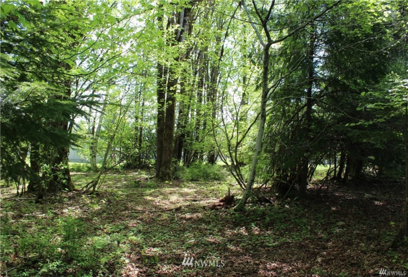 10 Deegan, Shelton, Washington 98584, ,Land,For Sale,Deegan,NWM1779956