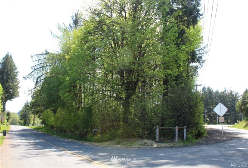 10 Deegan, Shelton, Washington 98584, ,Land,For Sale,Deegan,NWM1779956