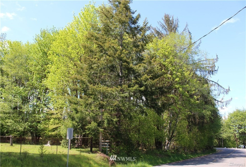 10 Deegan, Shelton, Washington 98584, ,Land,For Sale,Deegan,NWM1779956