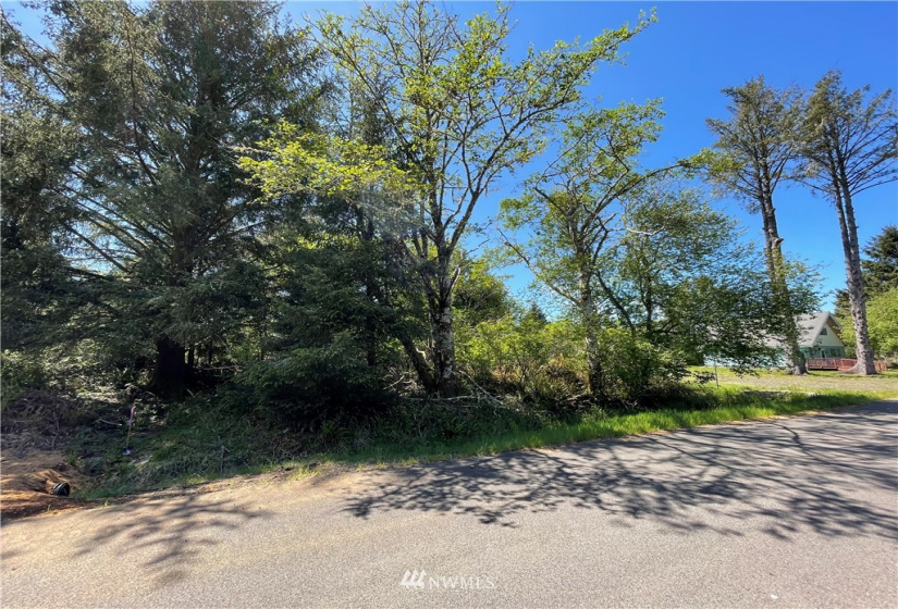 132 Cloquallum, Ocean Shores, Washington 98569, ,Land,For Sale,9,Cloquallum,NWM1780562