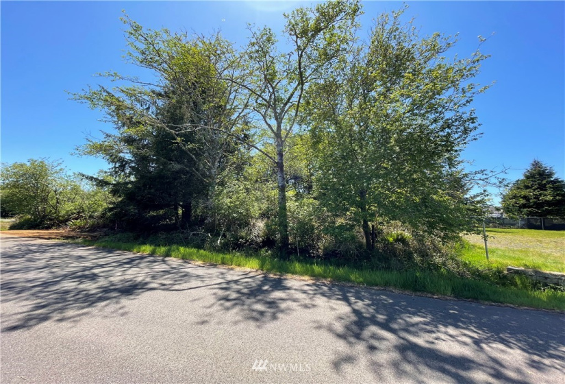 132 Cloquallum, Ocean Shores, Washington 98569, ,Land,For Sale,9,Cloquallum,NWM1780562