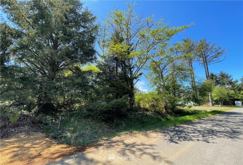 132 Cloquallum, Ocean Shores, Washington 98569, ,Land,For Sale,9,Cloquallum,NWM1780562