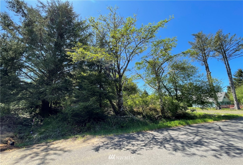 132 Cloquallum, Ocean Shores, Washington 98569, ,Land,For Sale,9,Cloquallum,NWM1780562