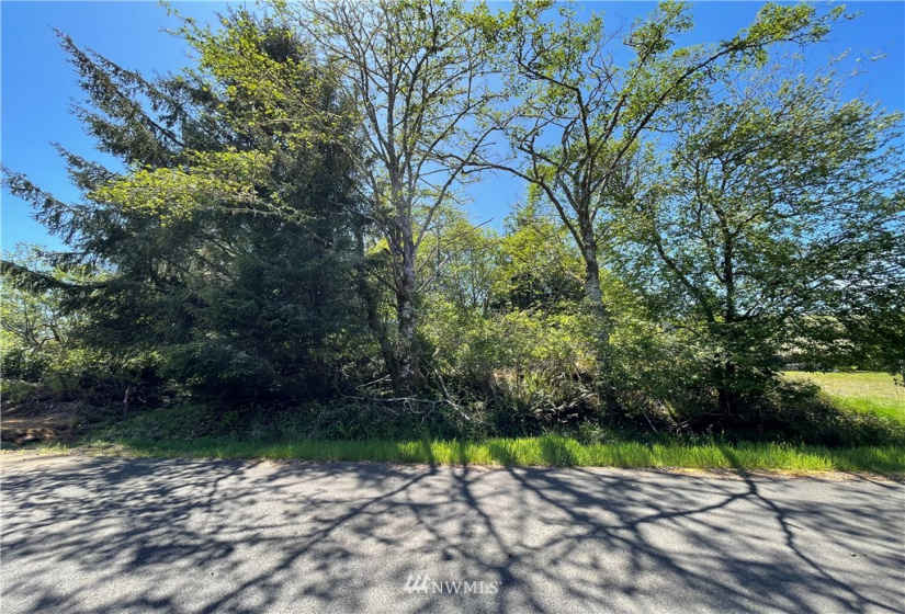132 Cloquallum, Ocean Shores, Washington 98569, ,Land,For Sale,9,Cloquallum,NWM1780562